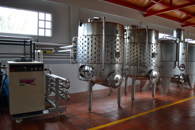 cave-SPERACEDES-min_wine_production_cantine_winery_drink_alcohol_vine_beverage-902036